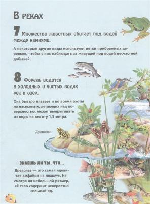 Нико Домингес. Животные морей и рек – фото 4