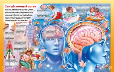 О теле человека для мальчиков и девочек. Детская энциклопедия – фото 2