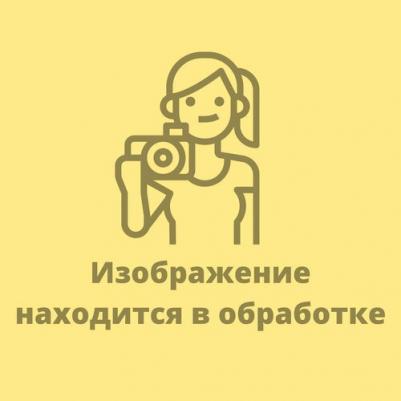 Окружающий мир. 2 класс. Учебник. В 2-х частях. Часть 1 / Плешаков А.А. / 2023 – фото 5