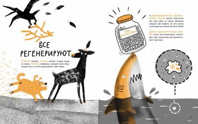 Ольга Посух. Микросупергерои. Самые-самые самовосстанавливающиеся! – фото 8