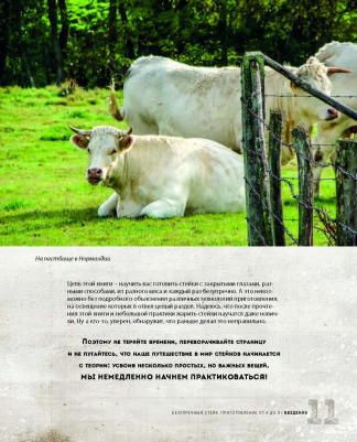 Онегин А. Безупречный стейк. Приготовление от А до Я – фото 15