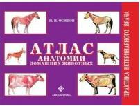 Осипов Иван Прокопьевич. Атлас анатомии домашних животных – фото 3