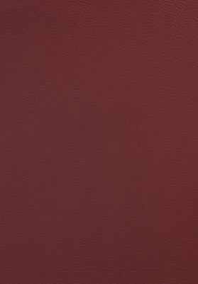 Отто фон Бисмарк. Воспоминания Железного канцлера – фото 1