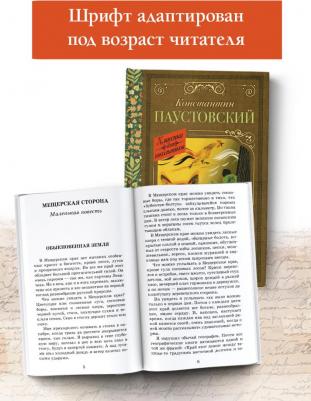 Паустовский Константин Георгиевич. Рассказы, повести, сказки – фото 1