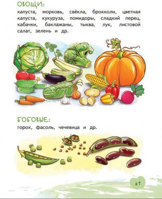 Павловская Елена Вячеславовна, Пырьева Екатерина Анатольевна, Сафронова Адиля Ильгизовна. Я питаюсь правильно! 5+ – фото 5