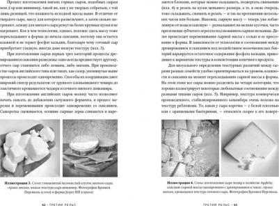 Персиваль Бронвен, Персиваль Фрэнсис. Заново изобретая колесо. Молоко, микробы и битва за настоящий сыр – фото 4