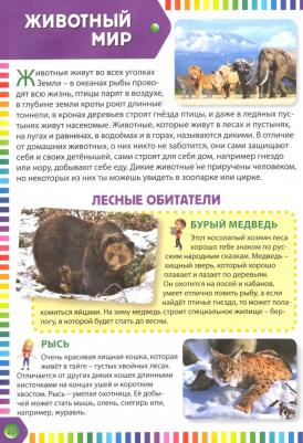 Первая Энциклопедия для Дошкольников – фото 8