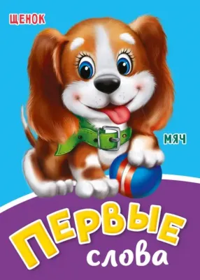 Первые слова 9785378295715