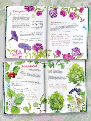 Пескова И. М. Растения в городе – фото 2