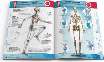 Петрова Ю. А., Банникова Н. В., Субботина Л. Е. Энциклопедия Анатомия 4D – фото 6