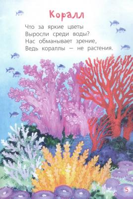 Петухова Елена Юрьевна. Кто живёт в море? Стихи для детей – фото 3