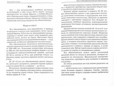 Плотникова Татьяна Федоровна. Декоративная изгородь – фото 1