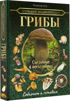 Поленов Андрей Борисович. Большая энциклопедия. Грибы. Съедобные и несъедобные. Собираем и готовим – фото 1