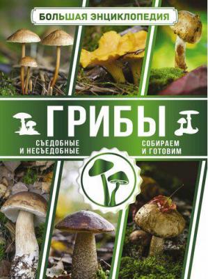 Поленов Андрей Борисович. Большая энциклопедия. Грибы. Съедобные и несъедобные. Собираем и готовим – фото 2