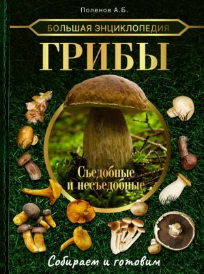 Поленов Андрей Борисович. Большая энциклопедия. Грибы. Съедобные и несъедобные. Собираем и готовим