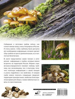 Поленов Андрей Борисович. Большая энциклопедия. Грибы. Съедобные и несъедобные. Собираем и готовим – фото 6