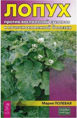 Полевая Мария Александровна. Лопух против воспалений суставов и почечнокаменной болезни – фото 1