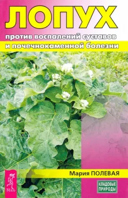 Полевая Мария Александровна. Лопух против воспалений суставов и почечнокаменной болезни