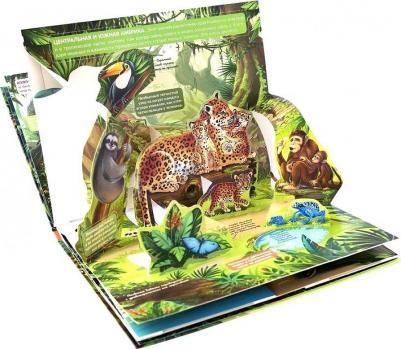 POP UP энциклопедия. Живая планета. Джунгли (книжка-панорамка) – фото 5