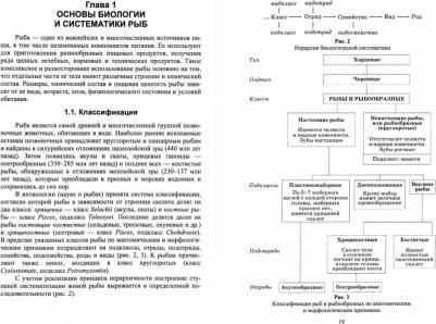 Позняковский Валерий Михайлович, Рязанова Ольга Александровна, Гнедов Александр Александрович, Табала Елена Борисовна. Экспертиза рыб северных видов – фото 1
