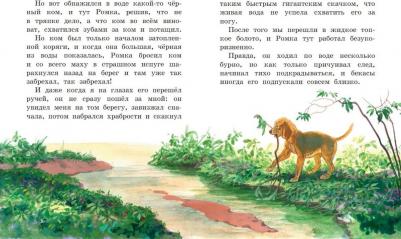 Пришвин Михаил Михайлович. Лисичкин хлеб. Рассказы о животных – фото 3