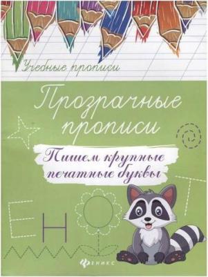 Прозрачные прописи:пишем крупные печатные буквы – фото 1