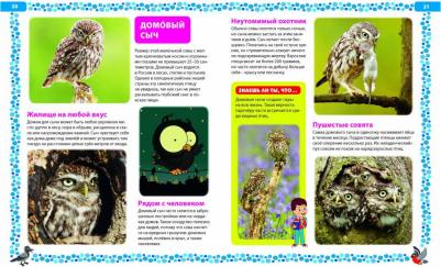 Птицы России. Детская энциклопедия – фото 4