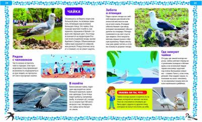 Птицы России. Детская энциклопедия – фото 8