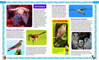 Птицы России. Детская энциклопедия – фото 16