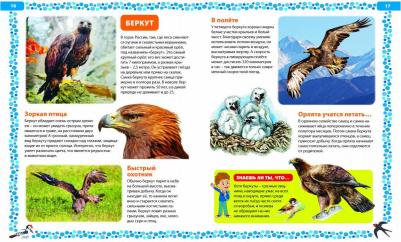 Птицы России. Детская энциклопедия – фото 17