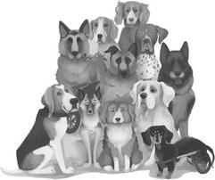 Пушкарева Дарья Владимировна. Хвостатые истории. Советы по воспитанию собак, лисиц, песцов и других животных – фото 1