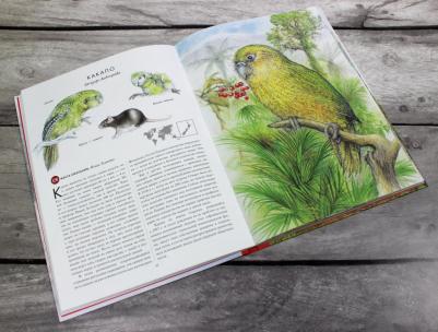 Радек Мали. Красная. Животные на грани вымирания – фото 4