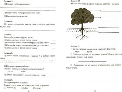 Ракутина Татьяна Михайловна. Комплексные интегрированные контрольные работы. 1 класс. ФГОС – фото 1