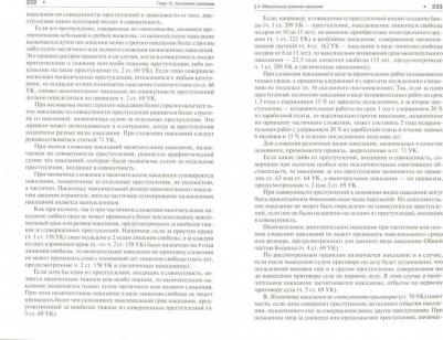 Рарог Алексей Иванович. Уголовное право России. Части общая и особенная. Учебник для бакалавров – фото 1
