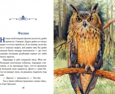 Рассказы о зверятах – фото 4