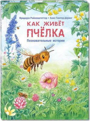 Райхенштеттер Фридерун. Как живет пчелка. Познавательные истории