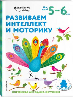 Развиваем интеллект и моторику: для детей 5-6 лет (с наклейками) – фото 1