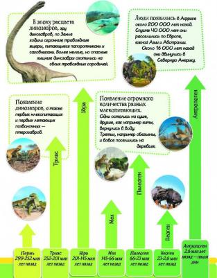 Рейк Мэттью. Энциклопедия динозавров и самых необычных доисторических животных – фото 8