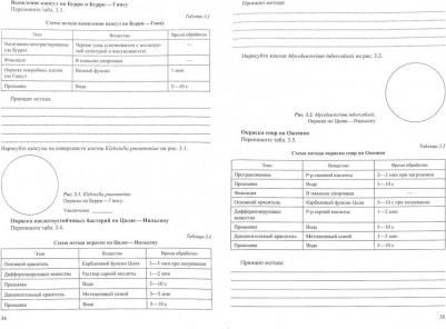 Рыбальченко Оксана Владимировна, Орлова Ольга Геннадьевна, Ермоленко Елена Игоревна. Практические занятия по курсу "Микробиология, вирусология и – фото 1