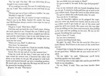 Roald Dahl, Quentin Blake. Danny the Champion of the World – фото 1