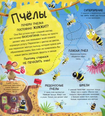 Робертсон Мэтт. А ты любишь букашек? Сногсшибательные факты о букашках – фото 3