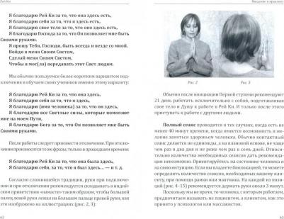 Ровинский Андрей Владимирович, Ровинская Наталья Николаевна. Рей Ки. Введение в практику – фото 1