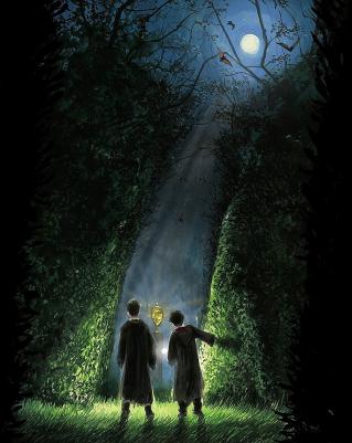 Rowling J.K. / Роулинг Джоан. Harry Potter and the Goblet of Fire HB Illustr – фото 8