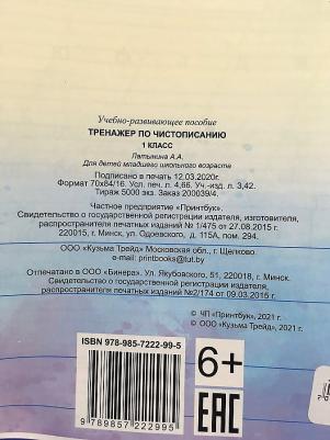 Русский язык. 1 класс. Чистописание. Тетрадь-тренажер – фото 3