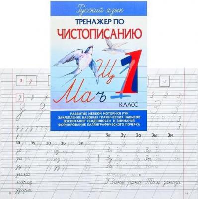Русский язык. 1 класс. Чистописание. Тетрадь-тренажер – фото 4