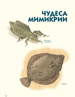 Ржанников Дмитрий Анатольевич. Самые-самые. Животные рекордсмены – фото 1