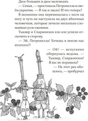 Сабина Штэдинг. Петронелла - добрая ведьма с яблоневого дерева – фото 8