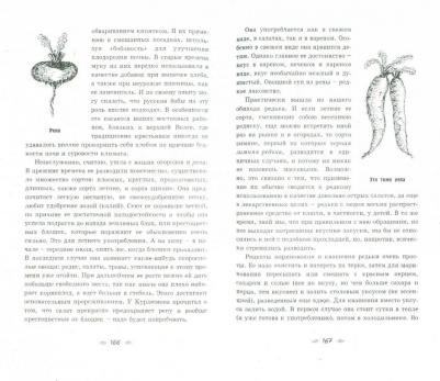 Сафронов Олег Викторович. Родовое поместье. Шаг на встречу мечте – фото 1