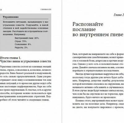 Санд Илсе. С любовью к себе. Как избавиться от чувства вины и обрести гармонию – фото 5