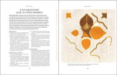 Сандерс Cалли. Английская королевская школа вышивания. Шелковая гладь, художественная гладь, золотое шитье – фото 6